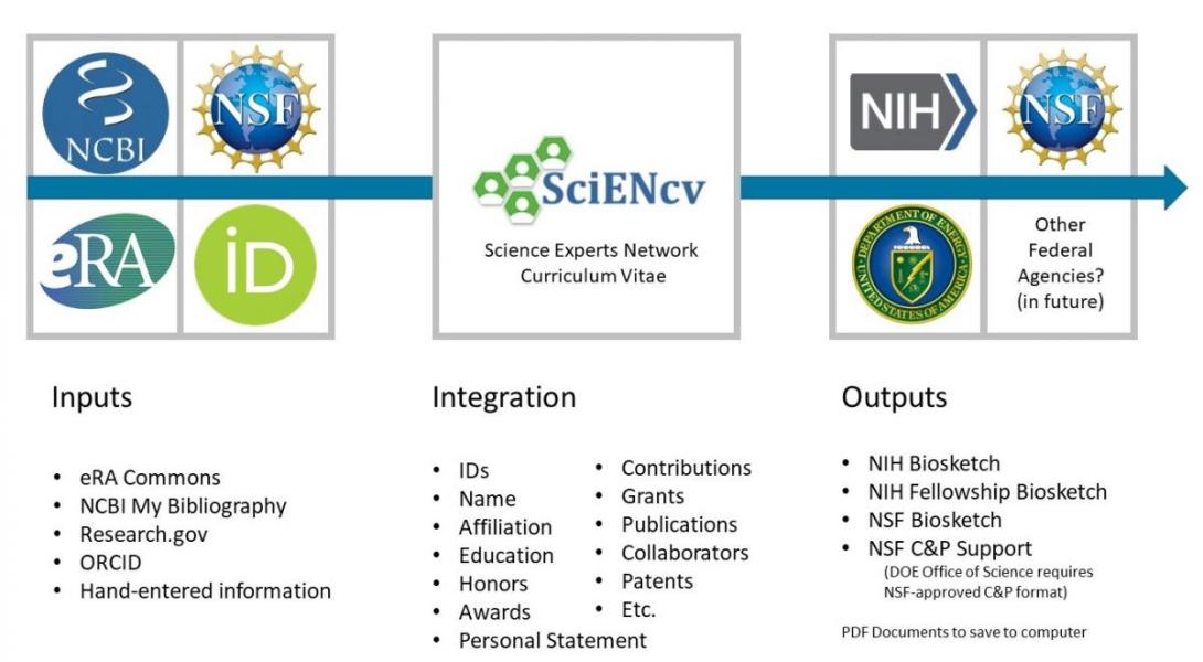 SciENcv graphic with text