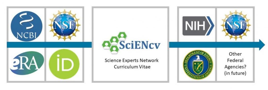 SCiENcv input output graphic